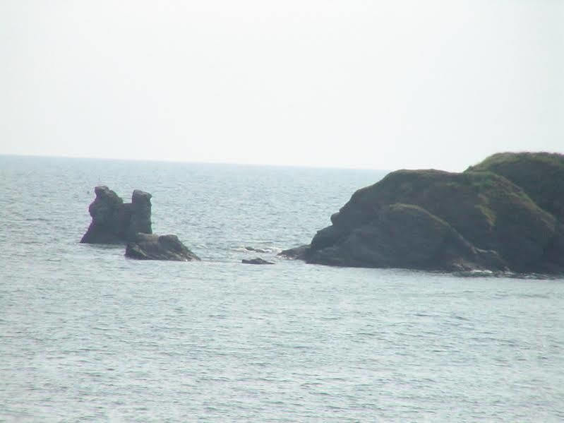 Residence "Catherine" Sion-sur-l'Ocean ภายนอก รูปภาพ